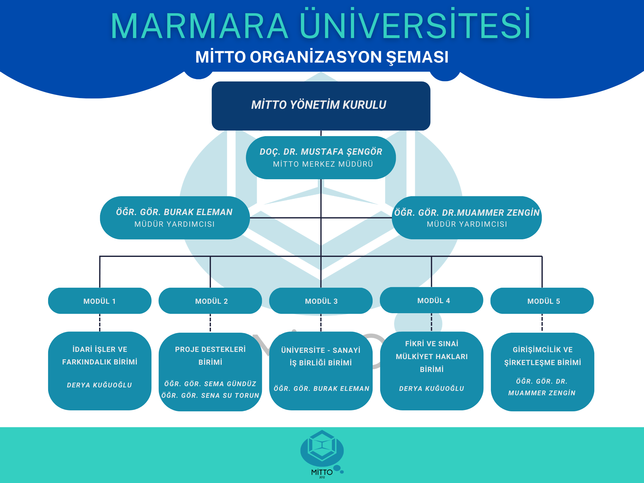 Mitto Organizasyon Şeması