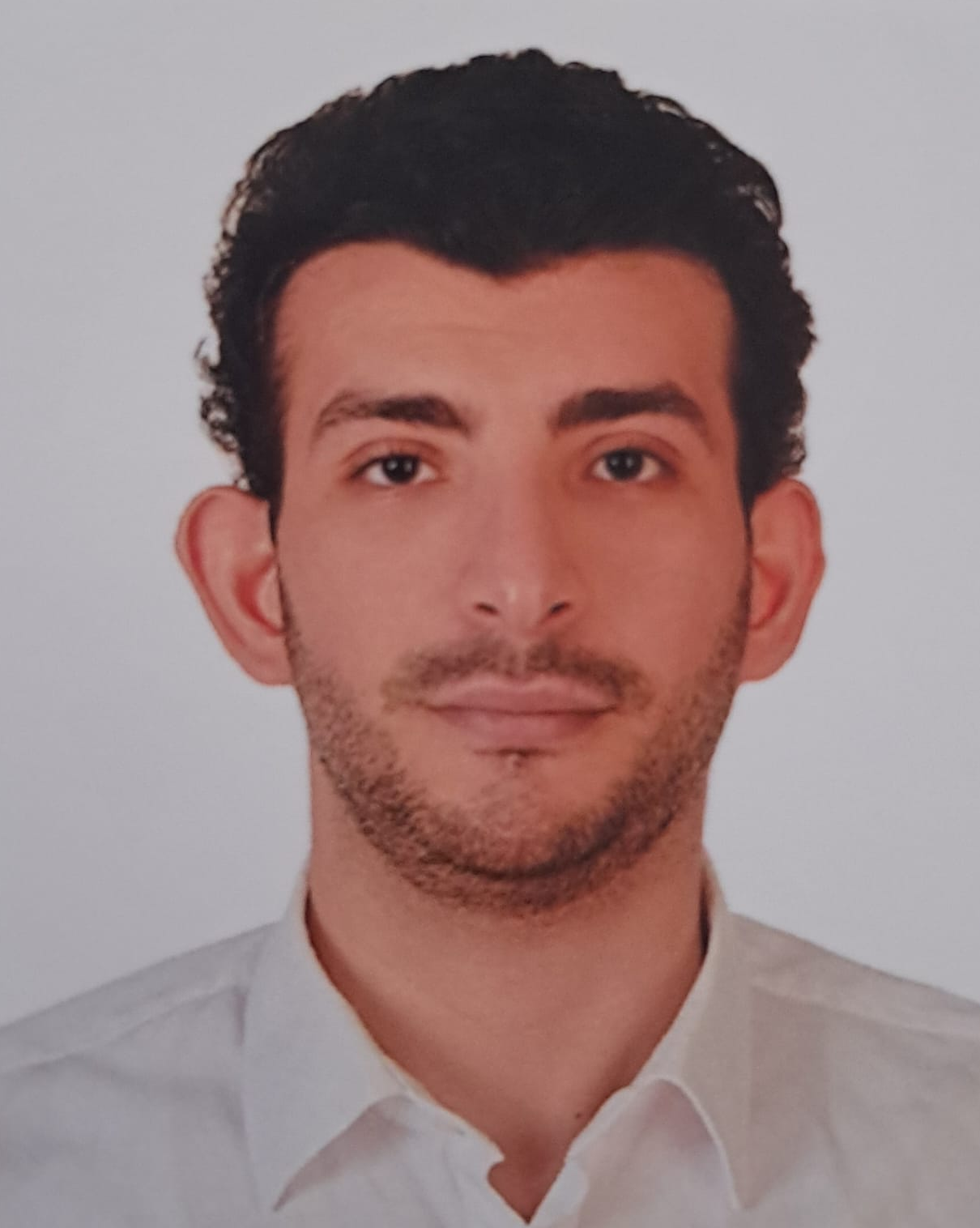 SEFA Y.png (1.23 MB)